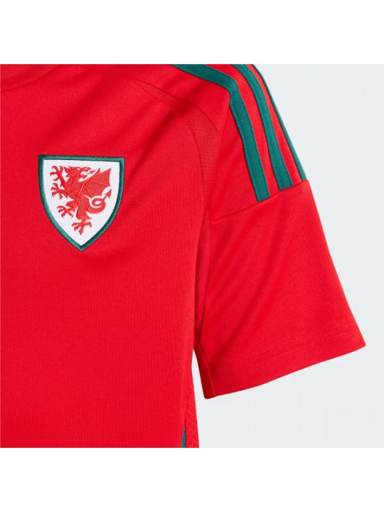 Camiseta GALES Primera Equipación 2024